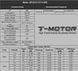 Мотор T-Motor MS2212-13 KV980 2-3S 160W для мультикоптерів DT1833UA фото 4